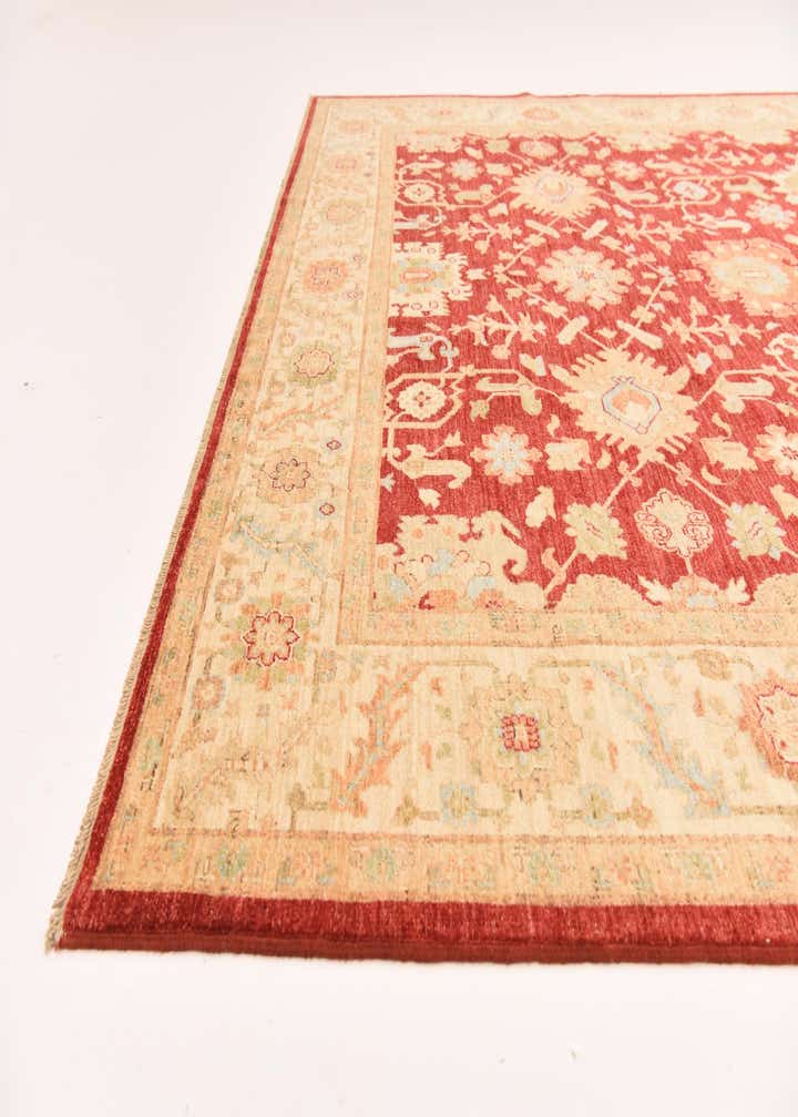 8' 4 x 11' 7 Hand Knotted Peshawar Ziegler Rug