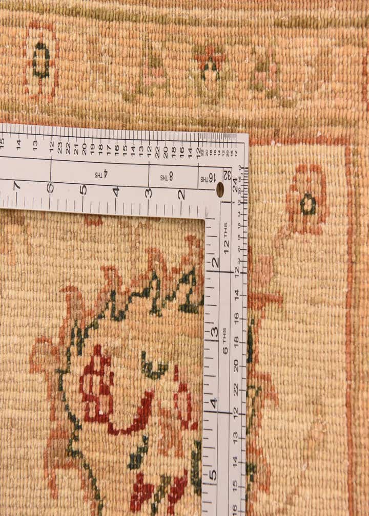 9' 5 x 12' 8 Hand Knotted Peshawar Ziegler Rug