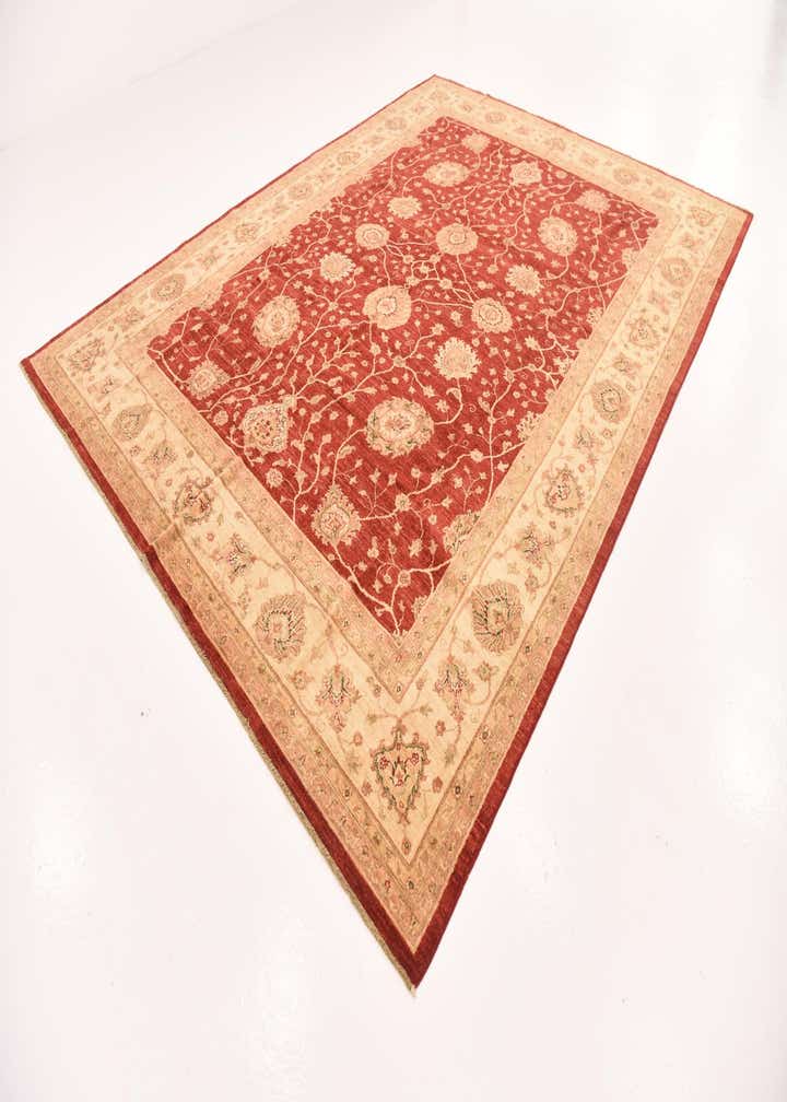 9' 5 x 12' 8 Hand Knotted Peshawar Ziegler Rug