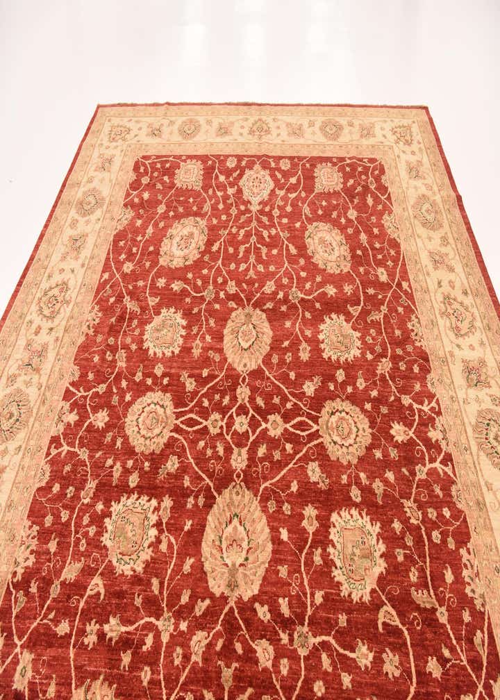 9' 5 x 12' 8 Hand Knotted Peshawar Ziegler Rug