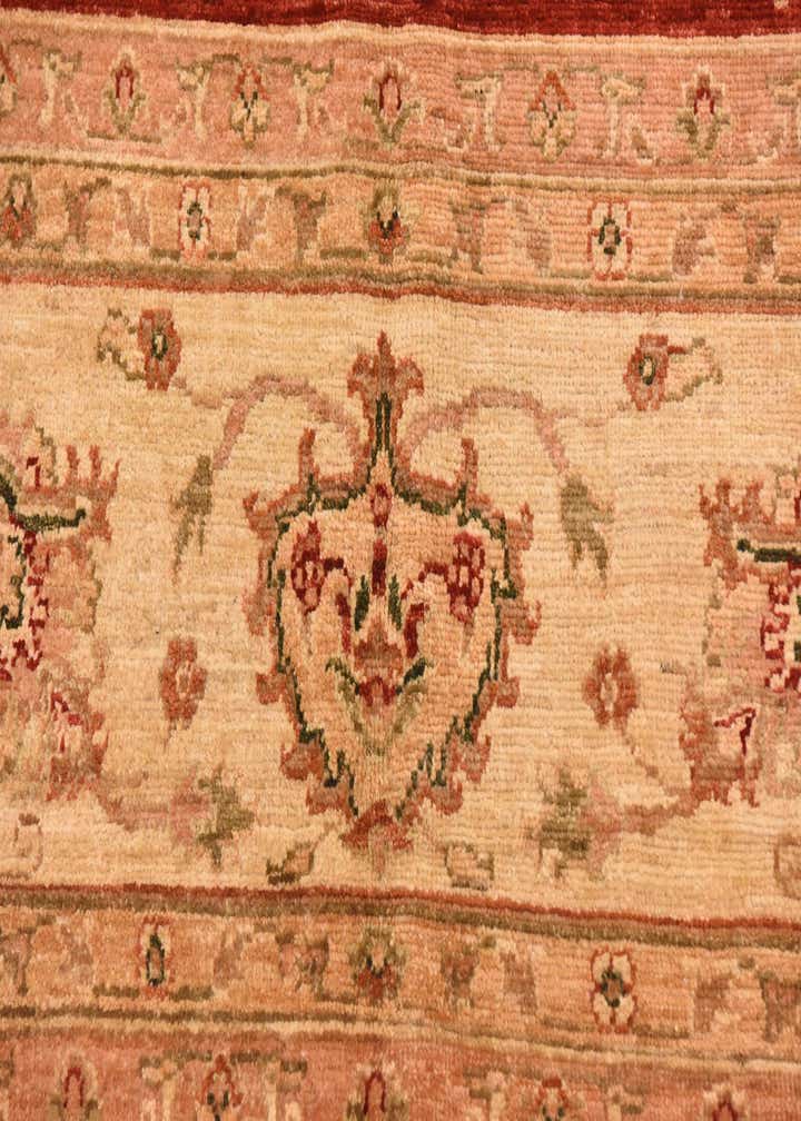 9' 5 x 12' 8 Hand Knotted Peshawar Ziegler Rug