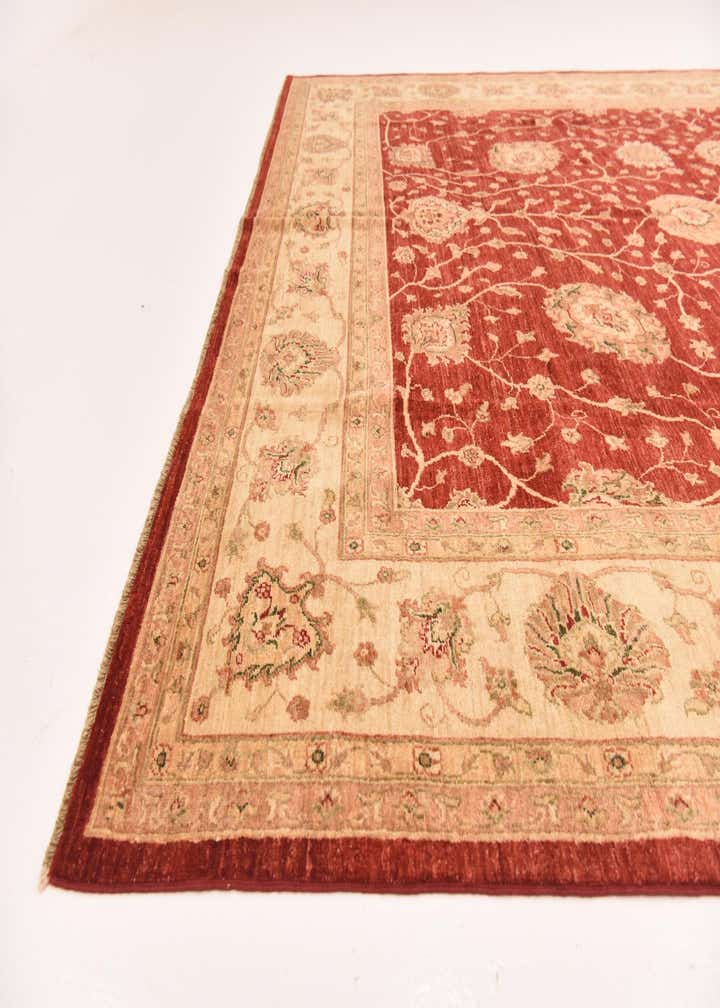 9' 5 x 12' 8 Hand Knotted Peshawar Ziegler Rug