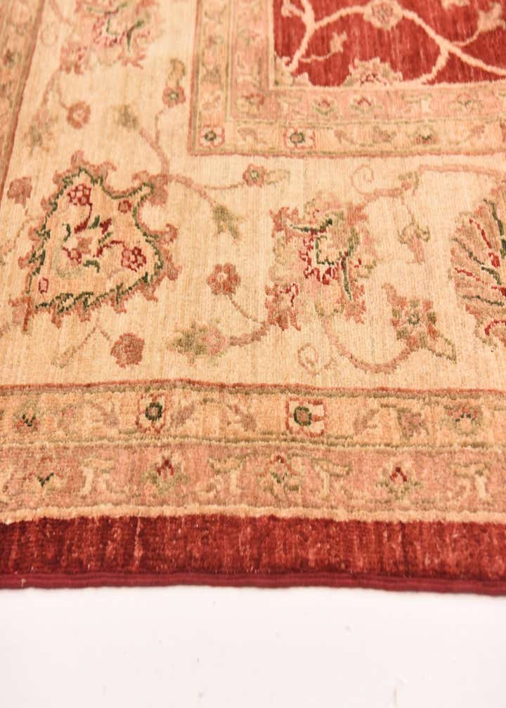 9' 5 x 12' 8 Hand Knotted Peshawar Ziegler Rug