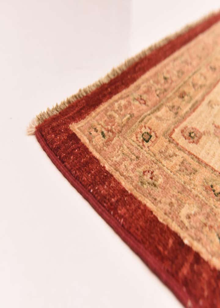 9' 5 x 12' 8 Hand Knotted Peshawar Ziegler Rug