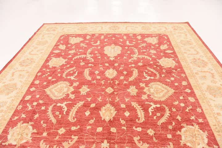 10' x 12' 10 Hand Knotted Peshawar Ziegler Rug