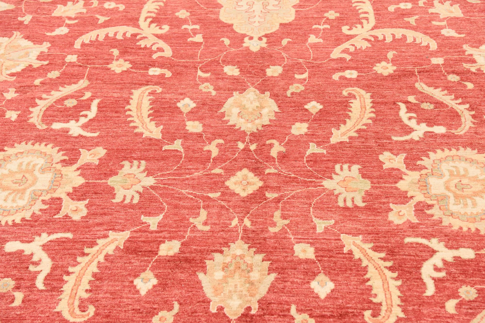 10' x 12' 10 Hand Knotted Peshawar Ziegler Rug