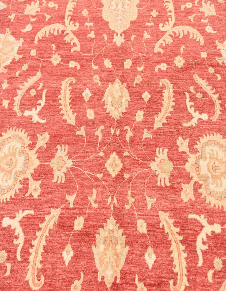 Detail image of 10' x 12' 10  Hand Knotted Peshawar Ziegler Rug
