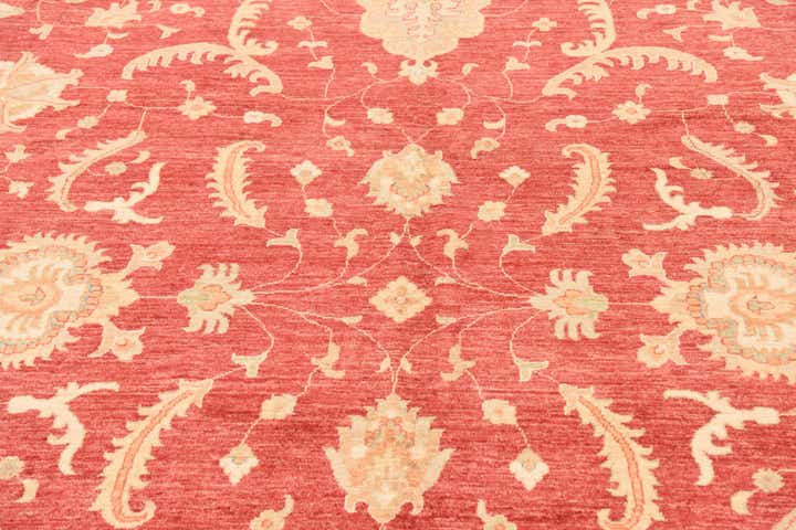 10' x 12' 10 Hand Knotted Peshawar Ziegler Rug