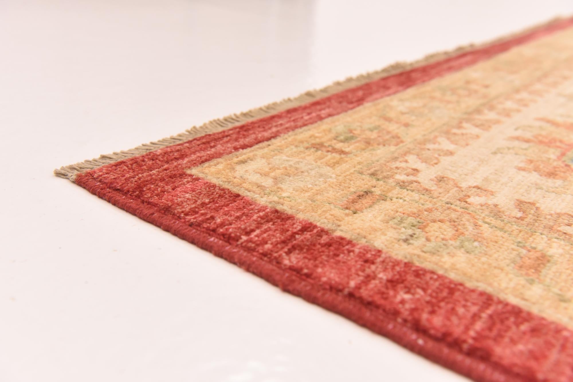 10' x 12' 10 Hand Knotted Peshawar Ziegler Rug