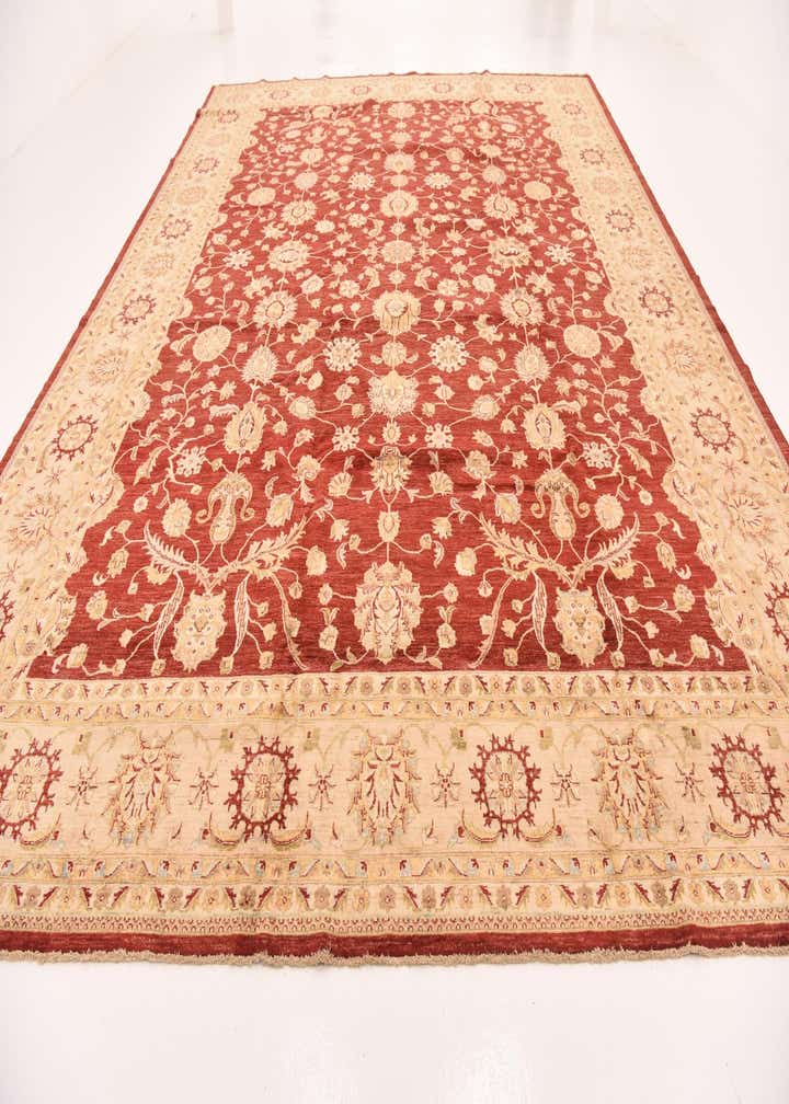 13' 4 x 17' 2 Hand Knotted Peshawar Ziegler Rug