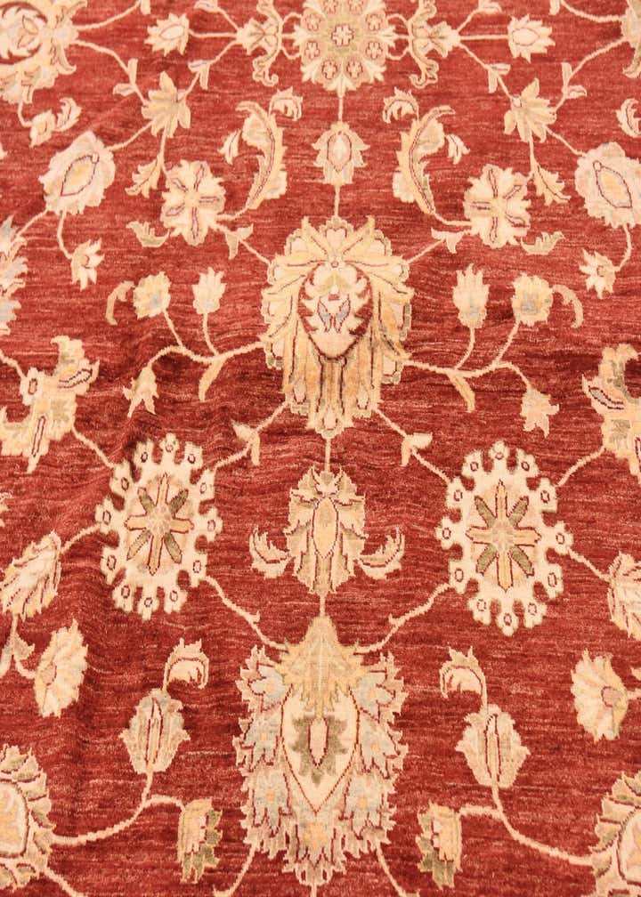13' 4 x 17' 2 Hand Knotted Peshawar Ziegler Rug