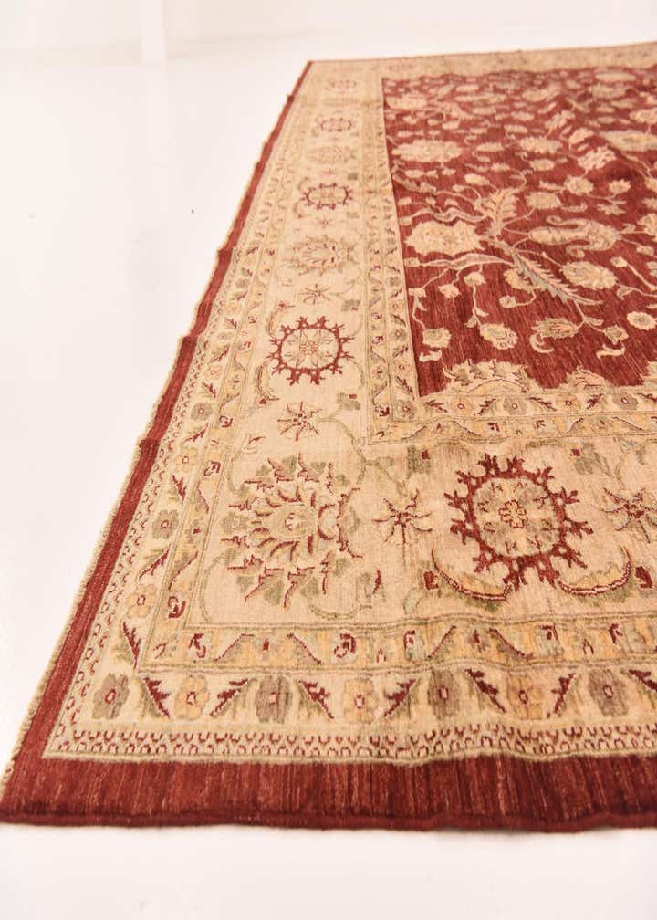 13' 4 x 17' 2 Hand Knotted Peshawar Ziegler Rug