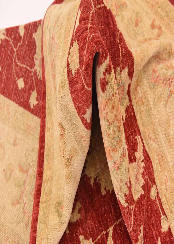 6' 7 x 10' Hand Knotted Peshawar Ziegler Rug