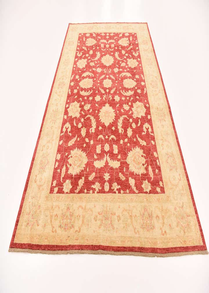 6' 7 x 10' Hand Knotted Peshawar Ziegler Rug