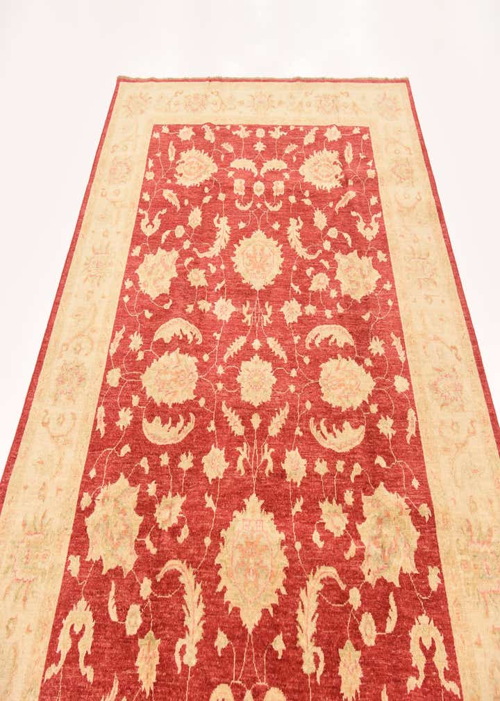 6' 7 x 10' Hand Knotted Peshawar Ziegler Rug