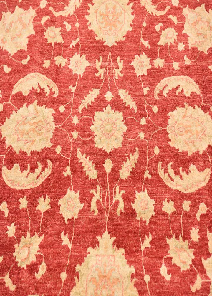 6' 7 x 10' Hand Knotted Peshawar Ziegler Rug