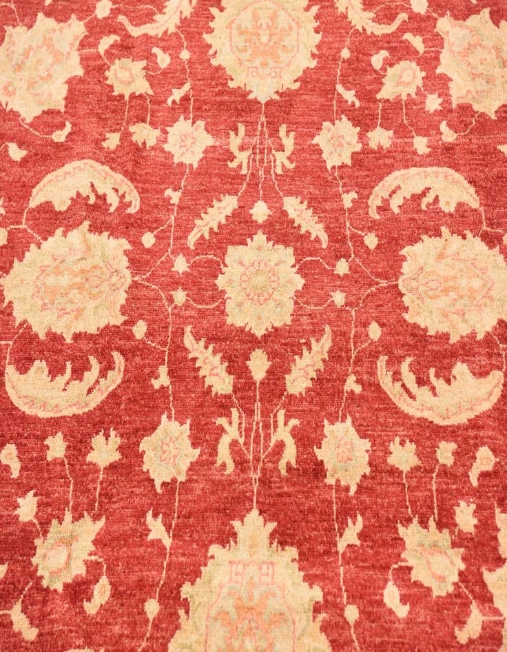 Detail image of 6' 7 x 10' Hand Knotted Peshawar Ziegler Rug