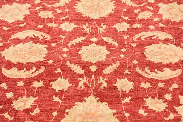 6' 7 x 10' Hand Knotted Peshawar Ziegler Rug