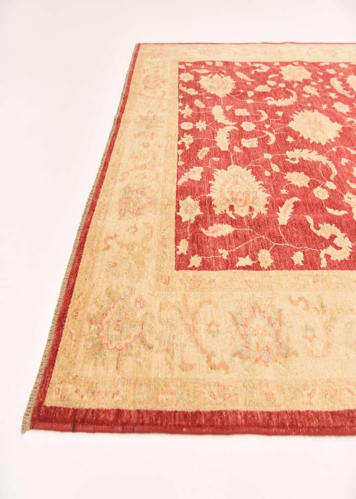 6' 7 x 10' Hand Knotted Peshawar Ziegler Rug