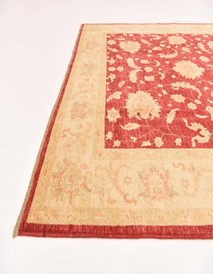 Detail image of 6' 7 x 10' Hand Knotted Peshawar Ziegler Rug