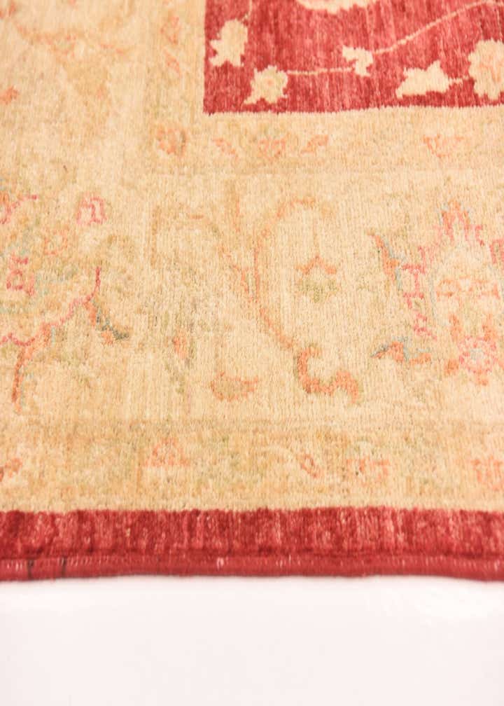 6' 7 x 10' Hand Knotted Peshawar Ziegler Rug