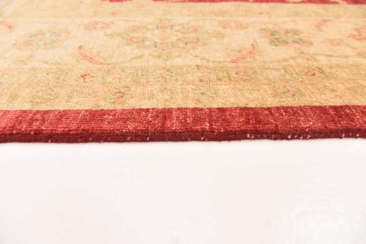 8' 10 x 12' 5 Hand Knotted Peshawar Ziegler Rug