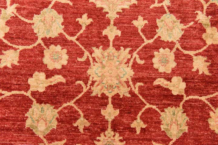 8' 10 x 12' 5 Hand Knotted Peshawar Ziegler Rug