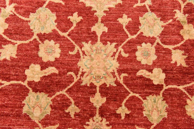 Detail image of 8' 10 x 12' 5 Hand Knotted Peshawar Ziegler Rug