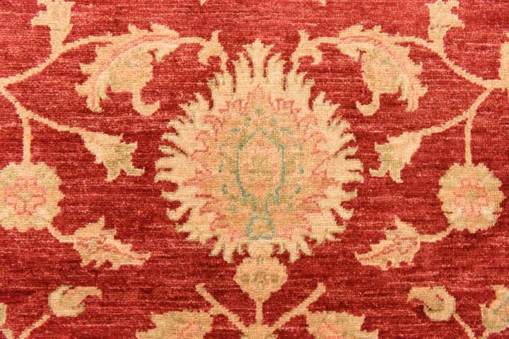8' 10 x 12' 5 Hand Knotted Peshawar Ziegler Rug