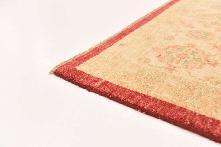 8' 10 x 12' 5 Hand Knotted Peshawar Ziegler Rug