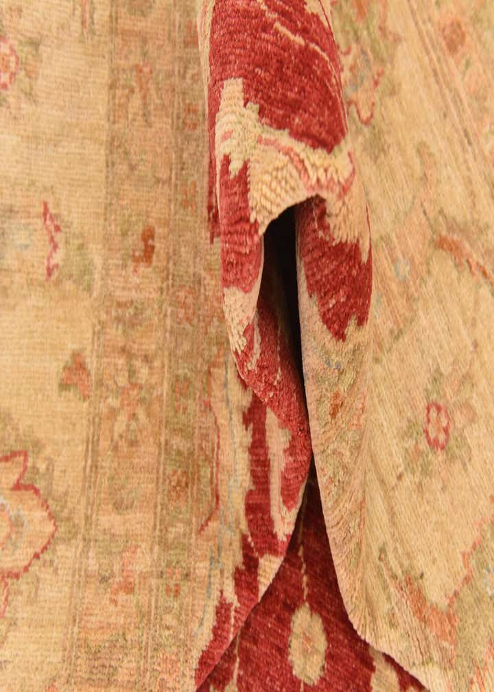 8' 3 x 11' 5 Hand Knotted Peshawar Ziegler Rug