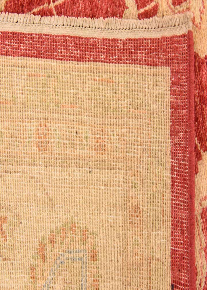 8' 3 x 11' 5 Hand Knotted Peshawar Ziegler Rug