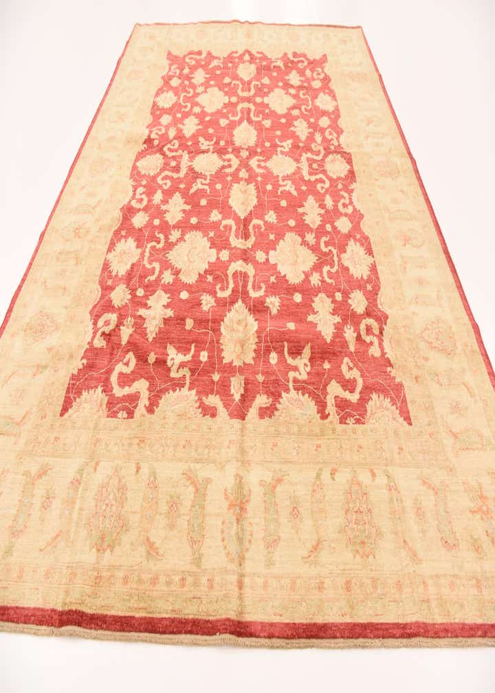 8' 3 x 11' 5 Hand Knotted Peshawar Ziegler Rug
