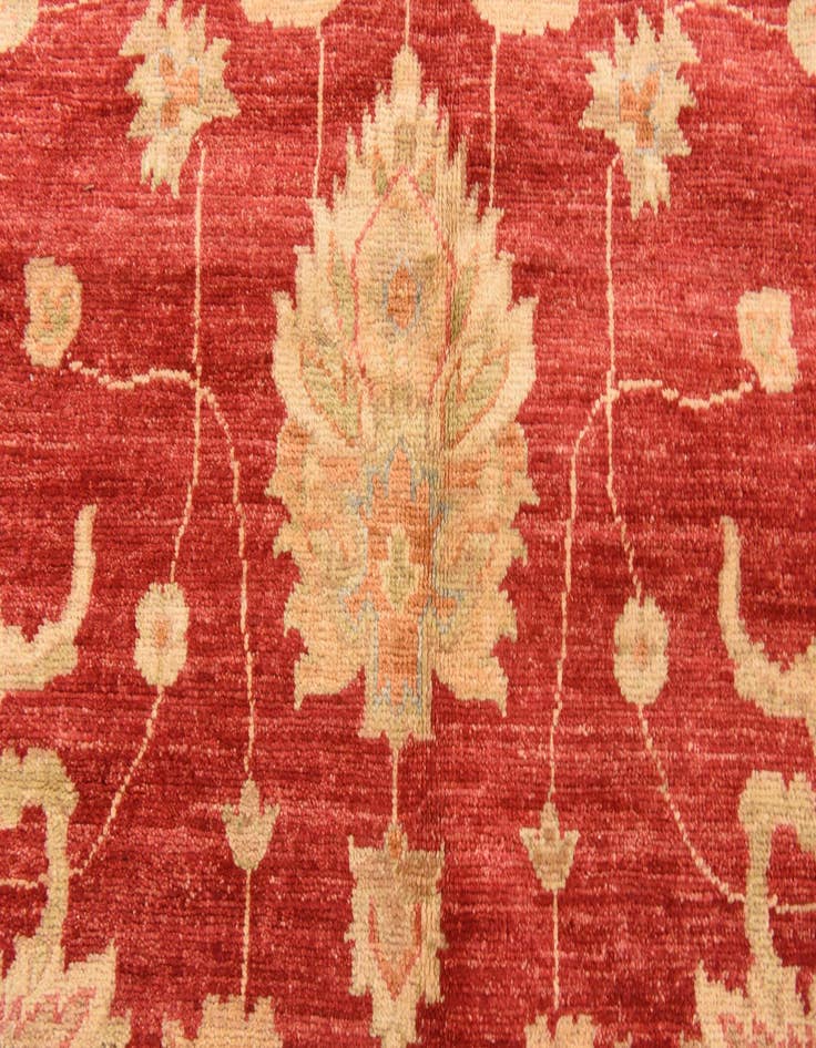 Detail image of 8' 3 x 11' 5 Hand Knotted Peshawar Ziegler Rug