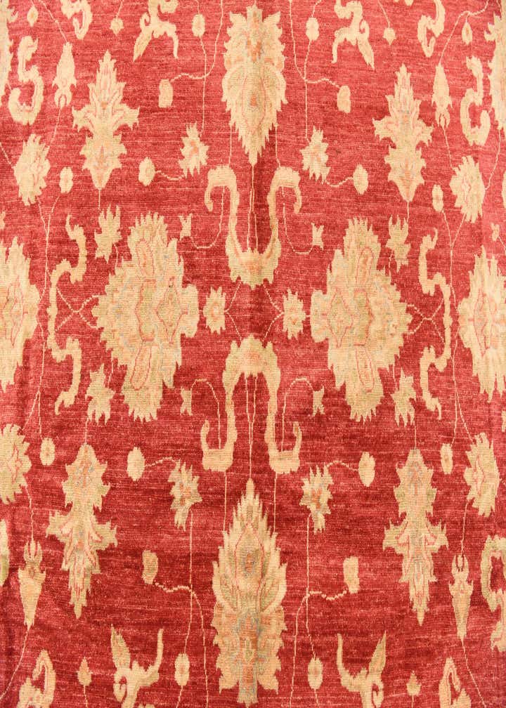 8' 3 x 11' 5 Hand Knotted Peshawar Ziegler Rug