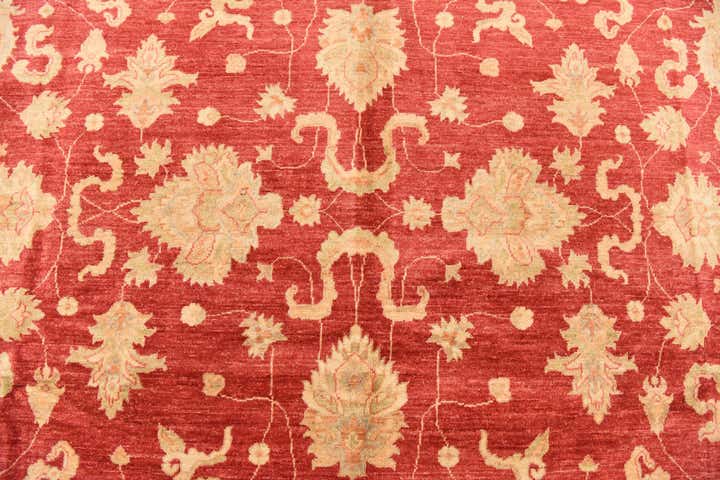 8' 3 x 11' 5 Hand Knotted Peshawar Ziegler Rug