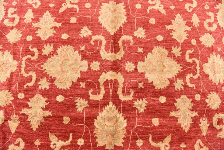 Detail image of 8' 3 x 11' 5 Hand Knotted Peshawar Ziegler Rug