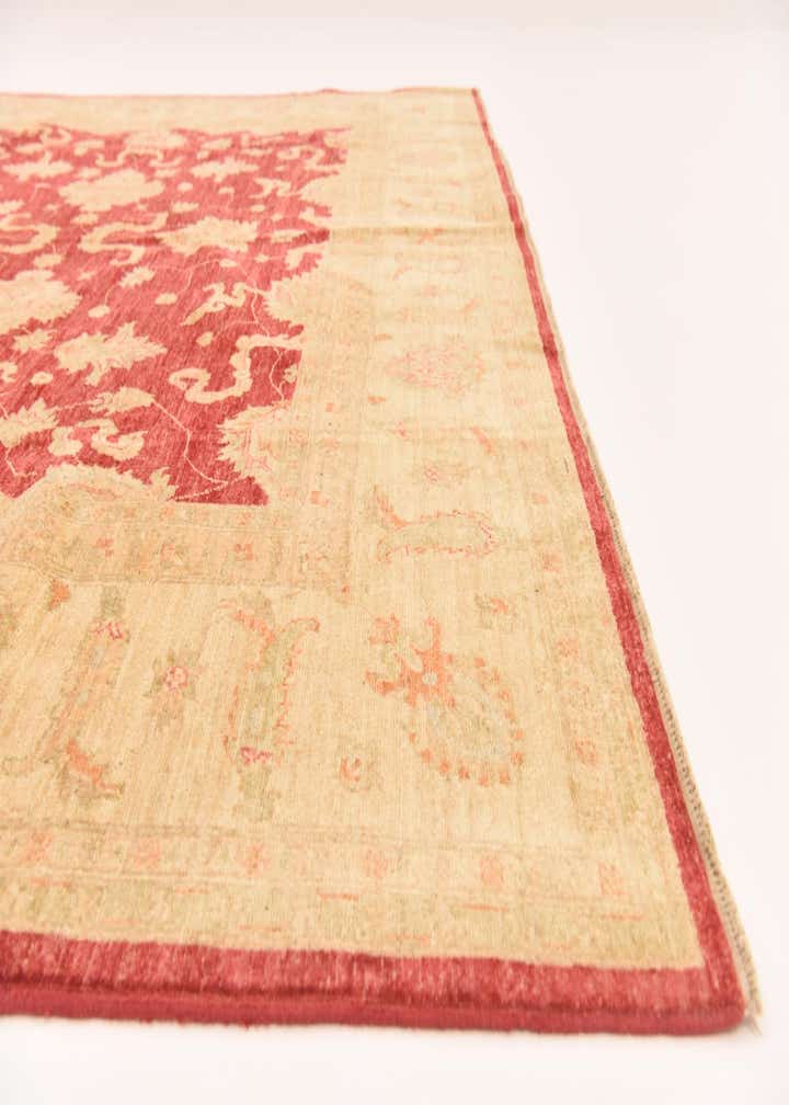 8' 3 x 11' 5 Hand Knotted Peshawar Ziegler Rug