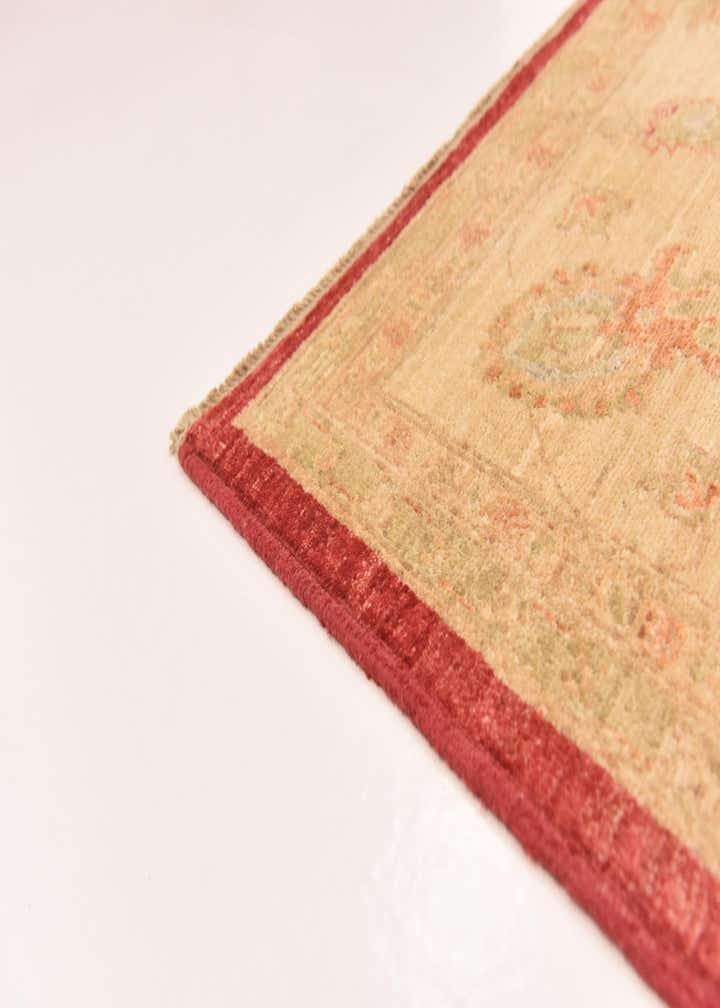 8' 3 x 11' 5 Hand Knotted Peshawar Ziegler Rug