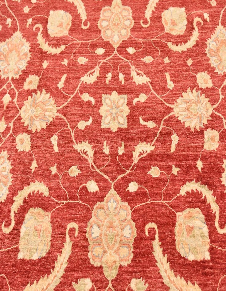 Detail image of 8' 3 x 9' 10  Hand Knotted Peshawar Ziegler Rug
