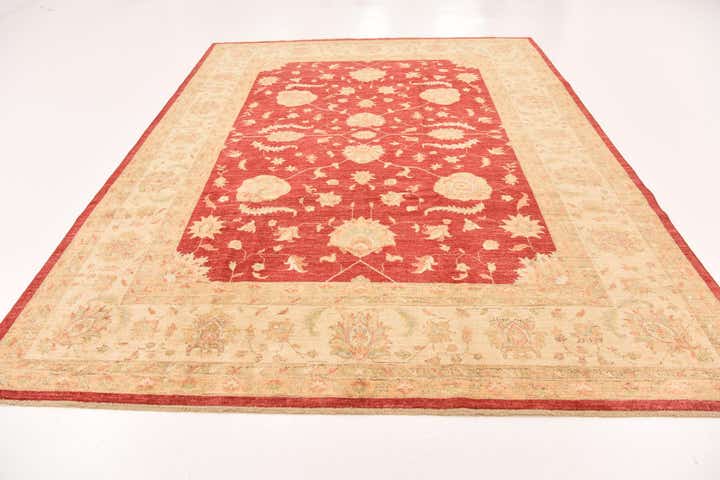 8' 4 x 11' 2 Hand Knotted Peshawar Ziegler Rug