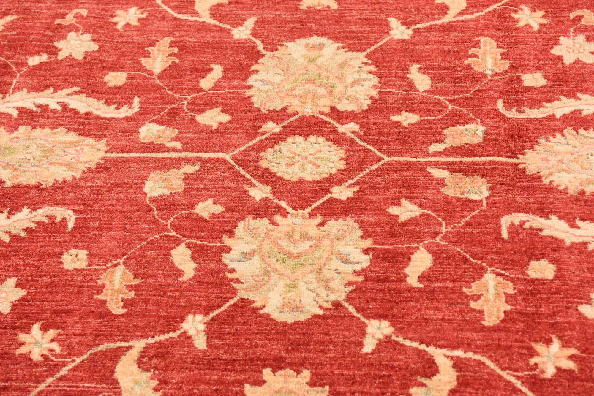 8' 4 x 11' 2 Hand Knotted Peshawar Ziegler Rug