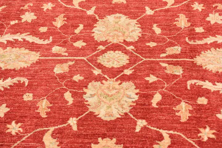 8' 4 x 11' 2 Hand Knotted Peshawar Ziegler Rug