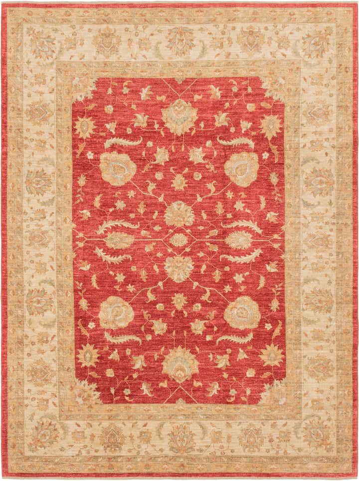 8' 4 x 11' 2 Hand Knotted Peshawar Ziegler Rug