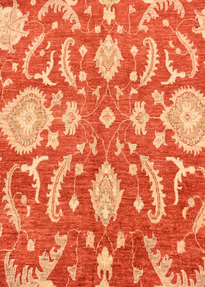 8' 3 x 9' 8 Hand Knotted Peshawar Ziegler Rug