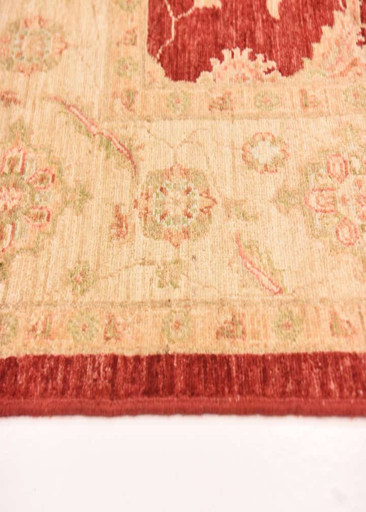 6' 6 x 9' 8 Hand Knotted Peshawar Ziegler Rug