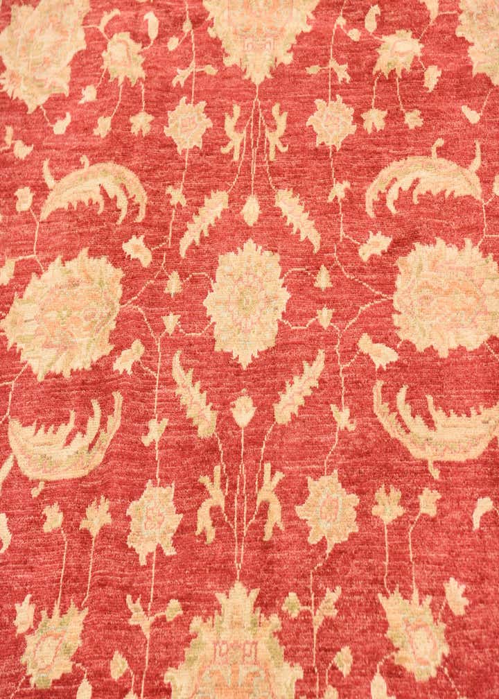 6' 6 x 9' 9 Hand Knotted Peshawar Ziegler Rug