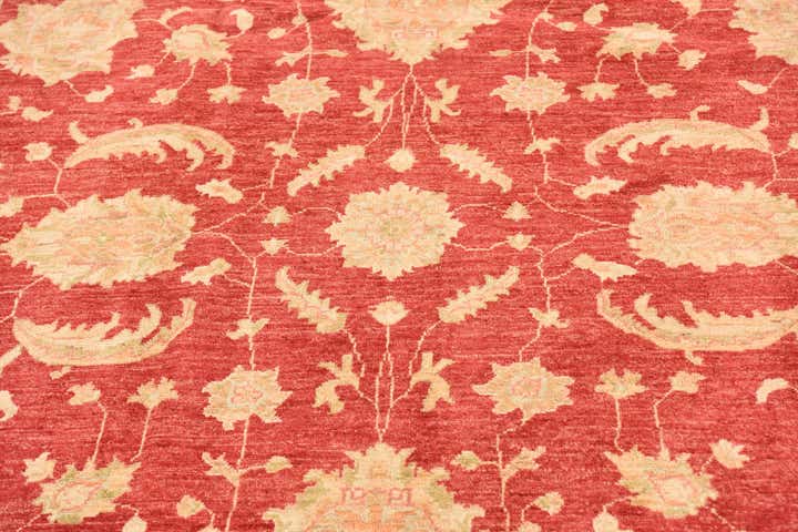 6' 6 x 9' 9 Hand Knotted Peshawar Ziegler Rug