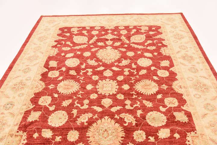 6' 8 x 9' 7 Hand Knotted Peshawar Ziegler Rug