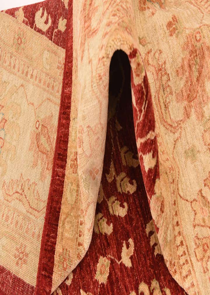 8' 8 x 12' 4 Hand Knotted Peshawar Ziegler Rug